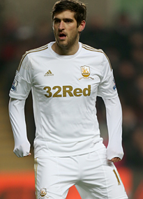 Danny Graham: Swansea to Sunderland