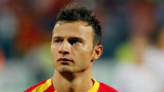 Elsad Zverotic is the latest addition to the Fulham squad.