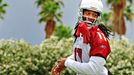 Larry Fitzgerald