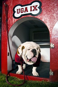 Uga IX