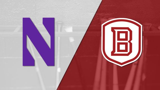 Northwestern vs. Bradley (Baseball)