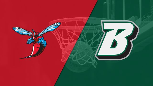 Delaware State vs. Binghamton (M Basketball)
