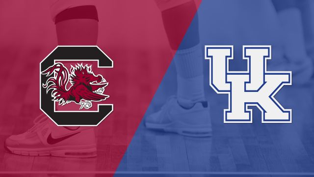 South Carolina vs. #6 Kentucky (W Volleyball)