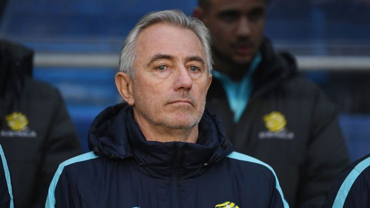 Australia manager Bert van Marwijk looks on.