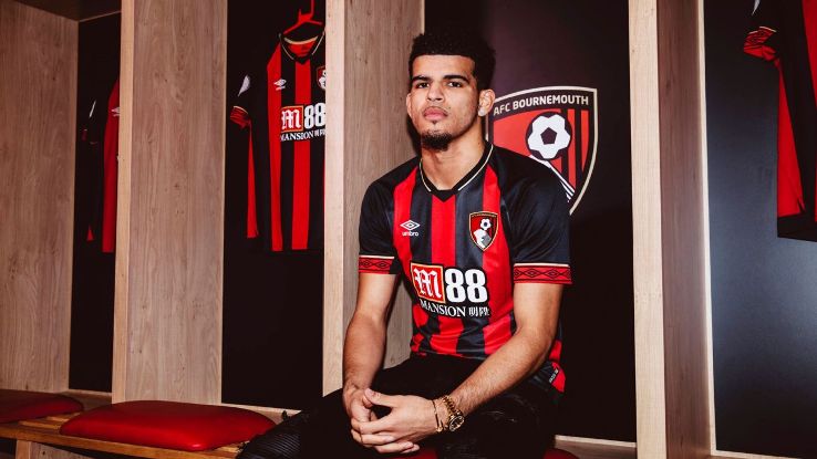 Bournemouth unveil new signing Dominic Solanke