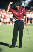 Tiger Woods
