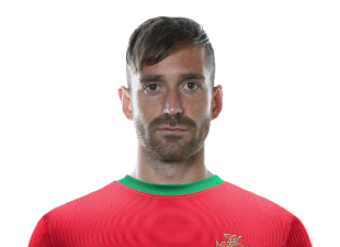 Raúl Meireles