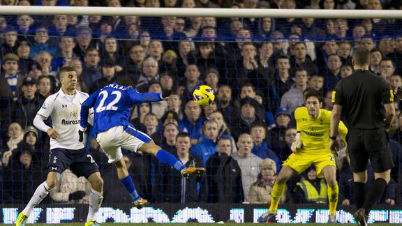 Steven Pienaar scored Everton's winning goal against Tottenham