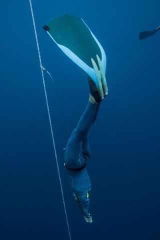 In the first 20 meters of a dive, Kerry Hollowell uses the air in her mouth to pop her ears in order to keep her eardrums from bursting.