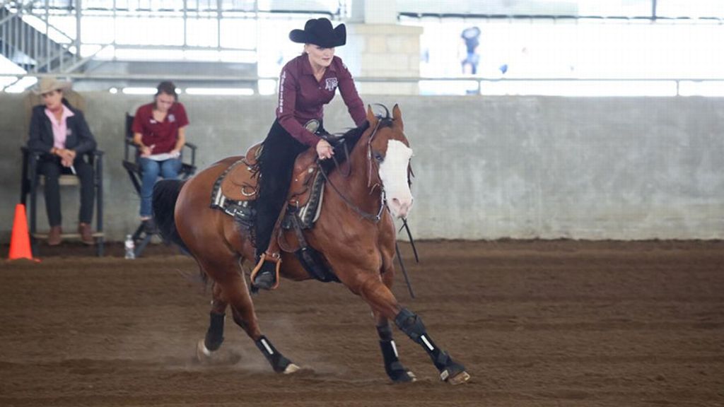 Texas A&M Equestrian Clubhouse Latest Headlines, Standings, Schedule