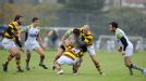 gallery-img