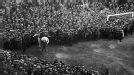 Bolton 2-0 West Ham, 1923