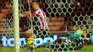 Sebastian Larsson