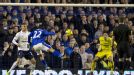Steven Pienaar scored Everton's winning goal against Tottenham