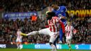 Kenwyne Jones was on the scoresheet for Stoke as they battled for a point with Everton
