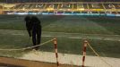 gallery-img