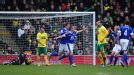 Leon Osman wheels away following his goal for Everton against Norwich