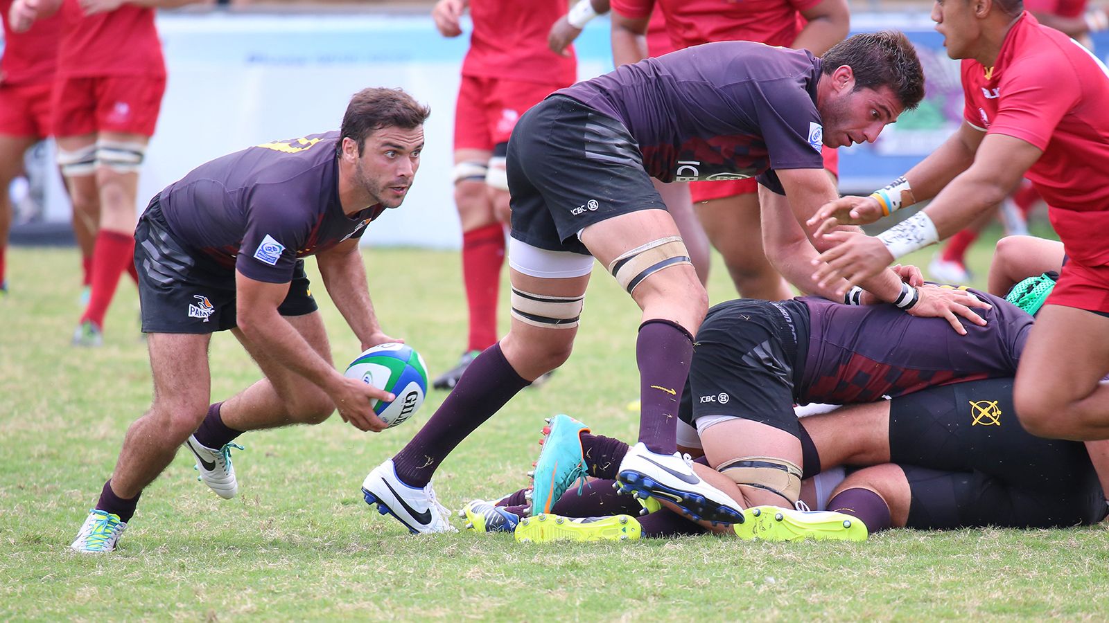 PAMPAS XV, EN LO M�S ALTO