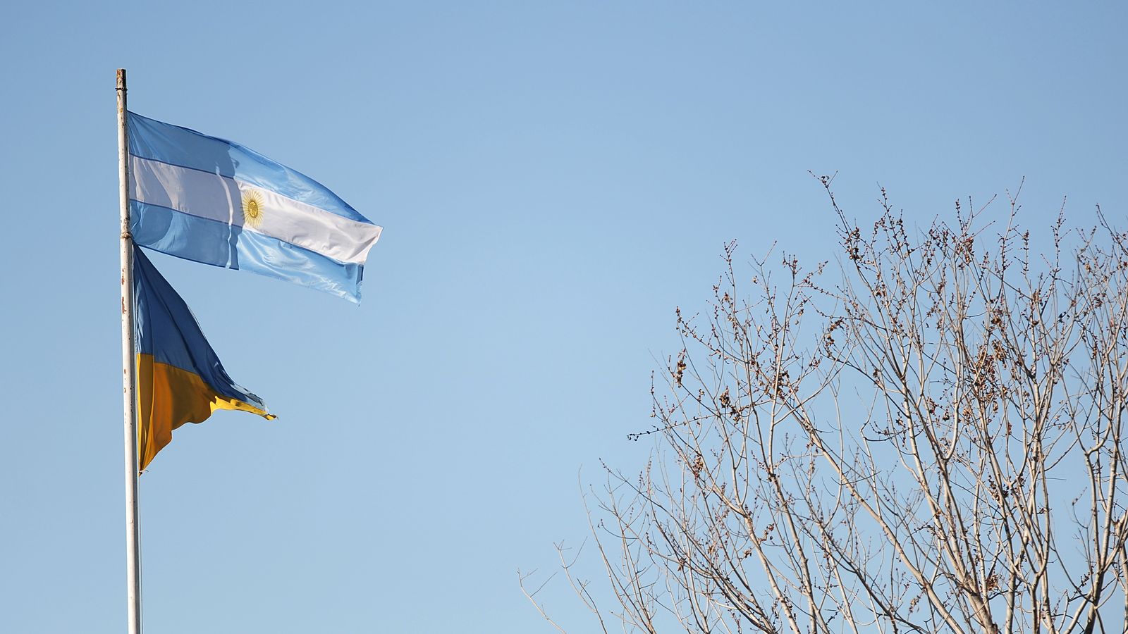 TODO EL COLOR DE LA FECHA