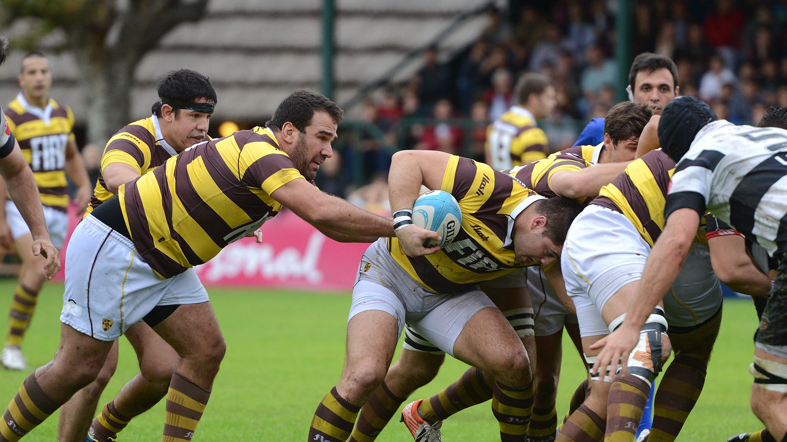 BELGRANO ES EL TAPADO