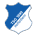 TSG Hoffenheim