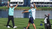 Ryan Fox aces Hole 17 at Players Championship