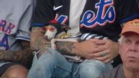 Iggy the Mets fan shows serious style with sunglasses
