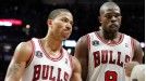 Bulls