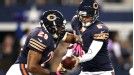 Bears