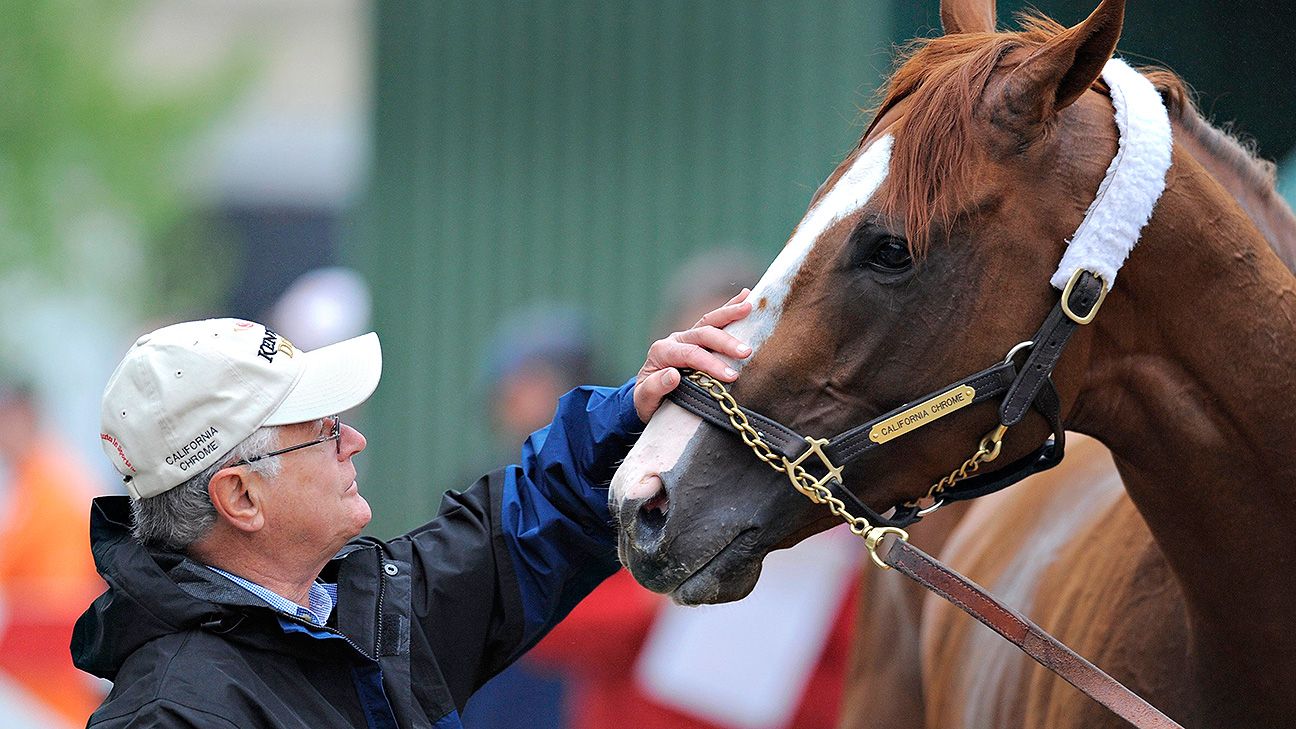 Science behind California Chrome's nasal strip ESPN The Magazine
