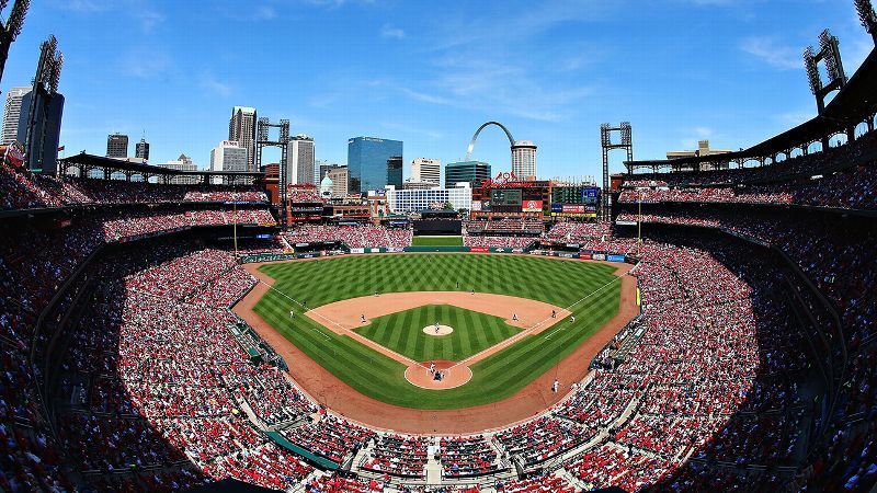 A Cardinals fanatic finally found her match on MLB Singles, one of many dating sites that are helping pair up sports fans.