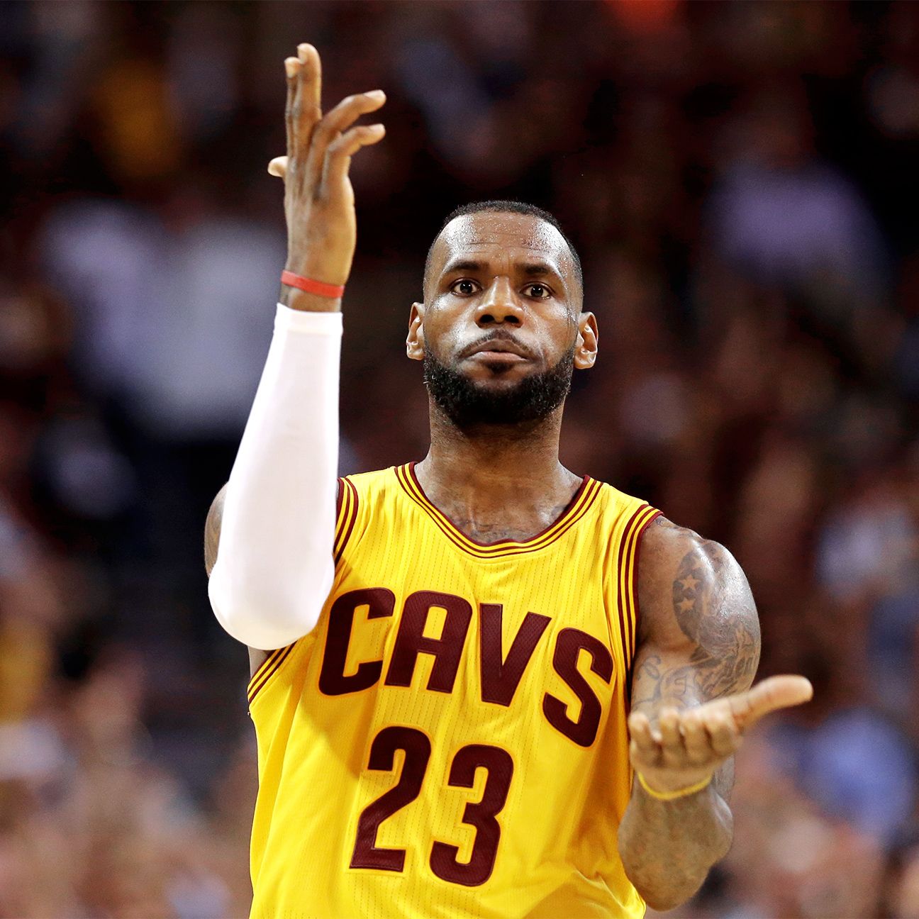 lebron cannon