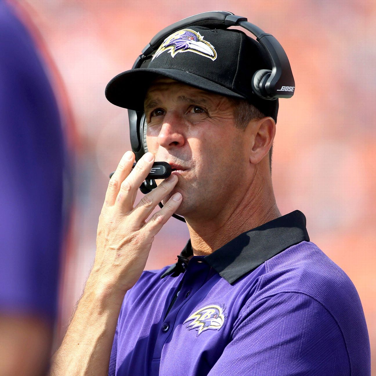 Ravens' Harbaugh denies interest in USC job