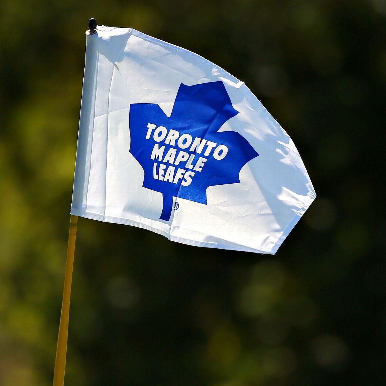 NHL Photos of Toronto Maple Leafs charity golf tournament