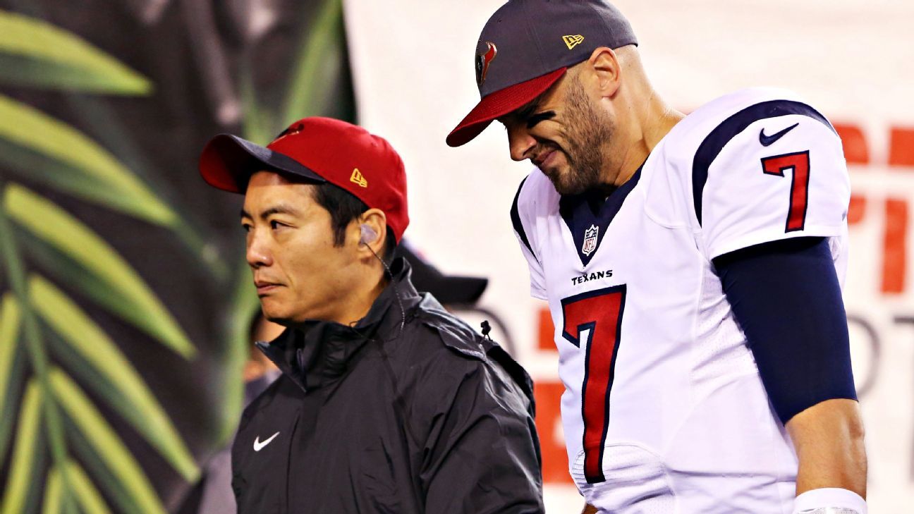 Source: Hoyer (concussion) unlikely to face Jets