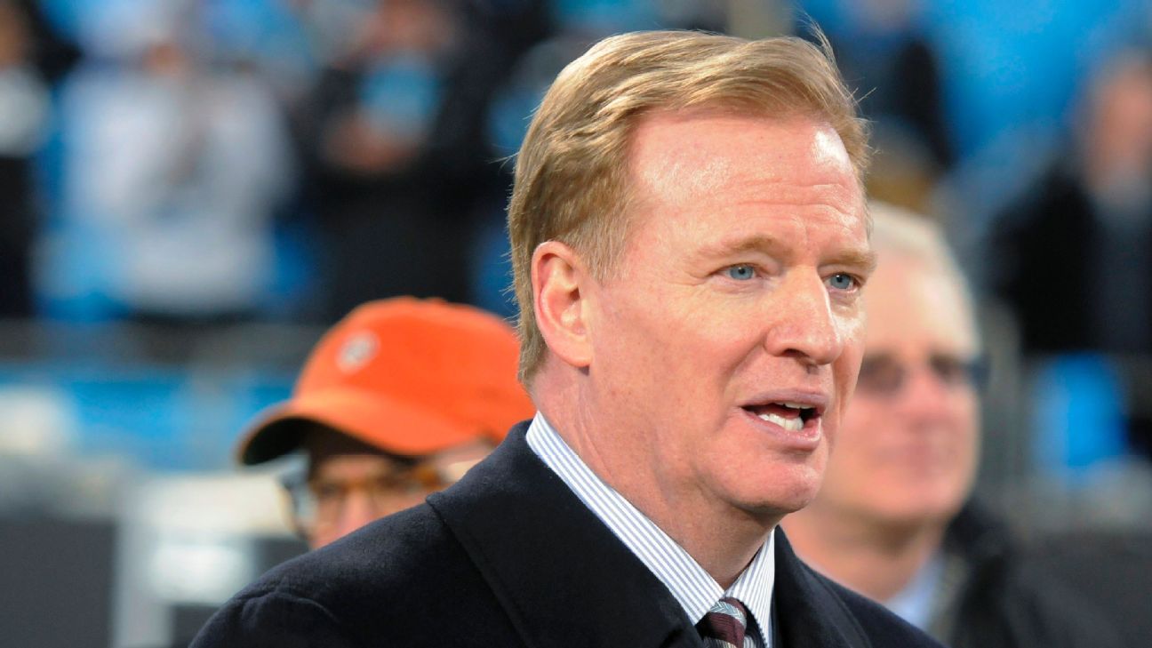 Goodell at rally to support Chargers' stadium plan