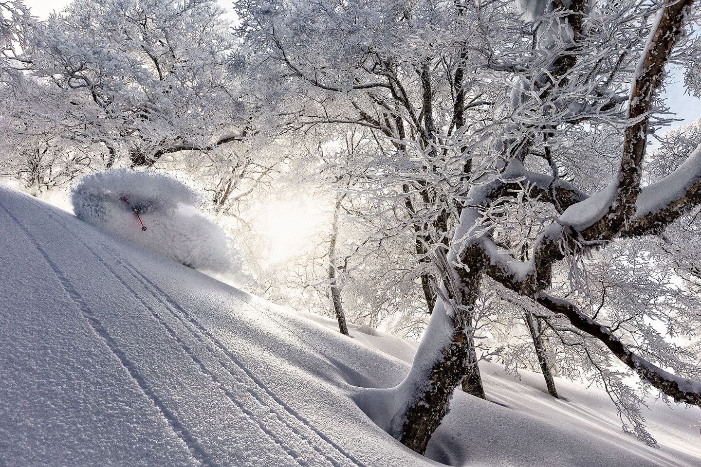Vlad Ivanov, Gibona, Bulgaria