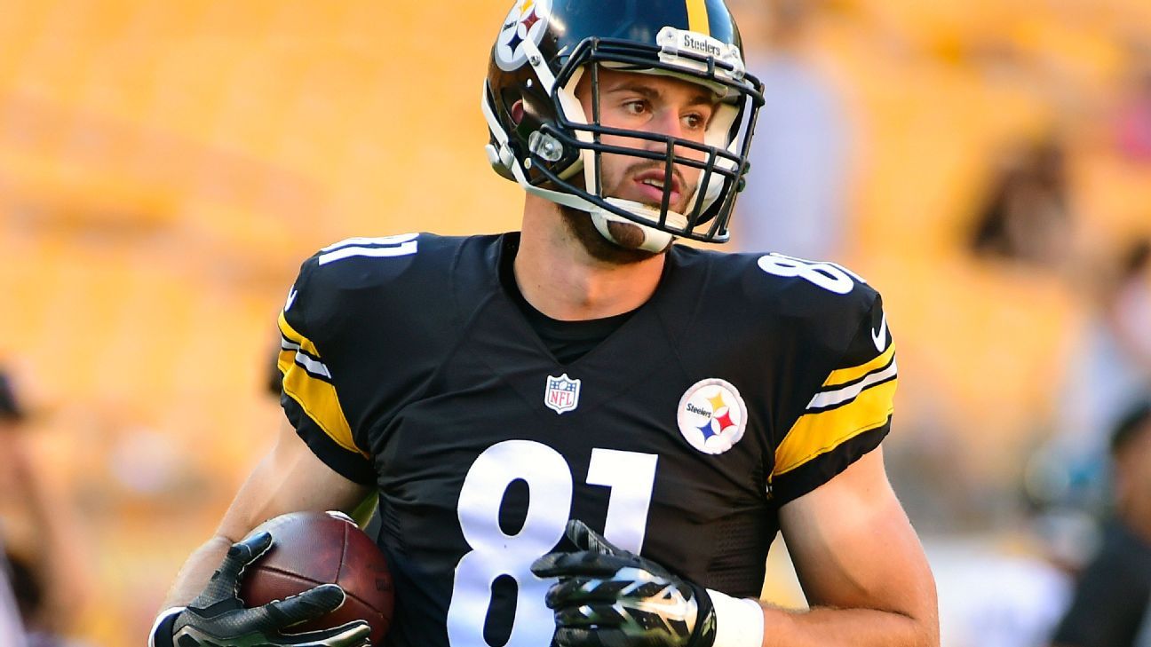Jesse James ready to ease Pittsburgh Steelers fans' tight end concerns