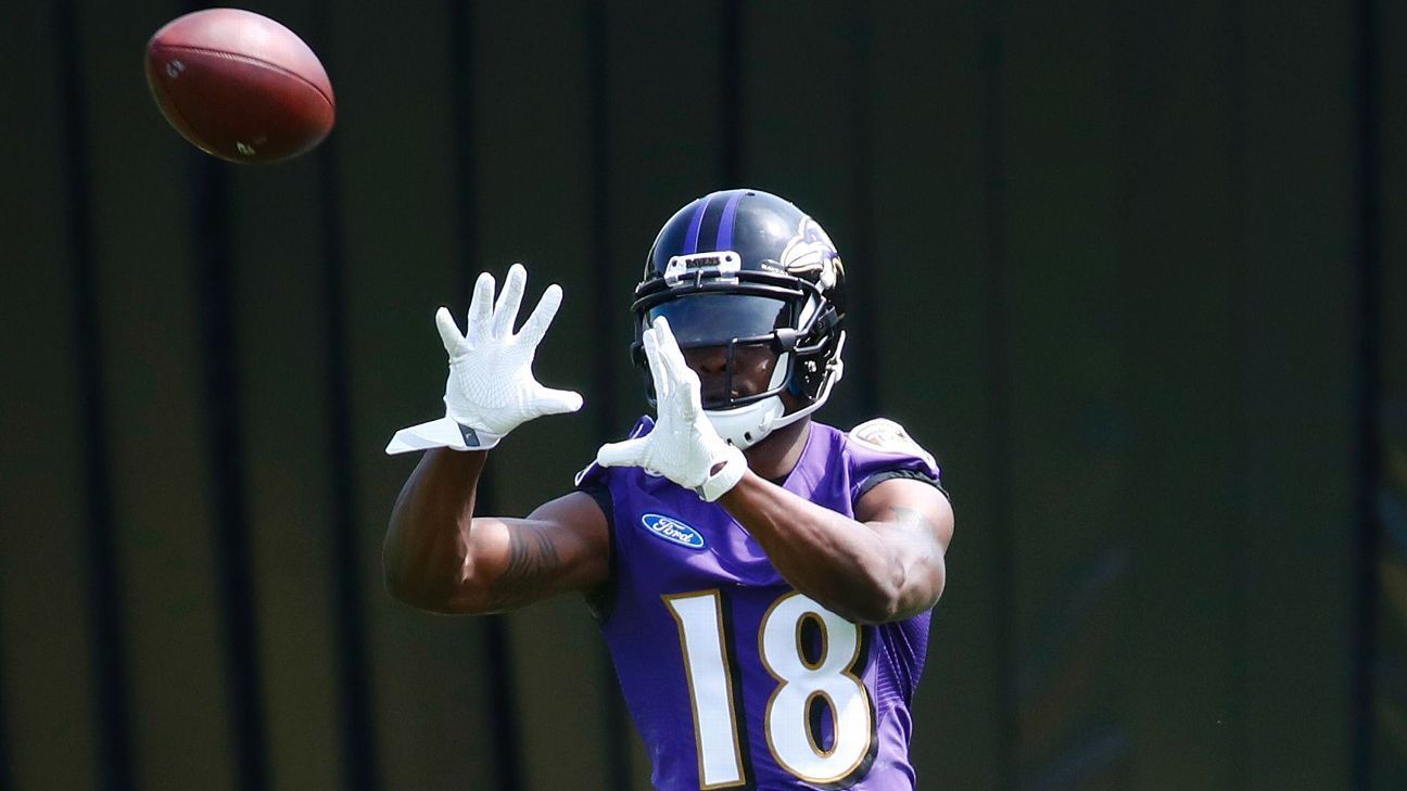 AFC North Q&A: How much will the lack of an established WR or RB hold back the Ravens? - ESPN (blog)