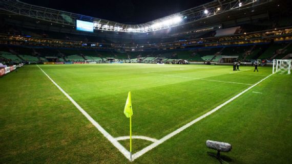 Gramado sintético no Allianz Parque? Veja o que Palmeiras e WTorre pensam sobre isso