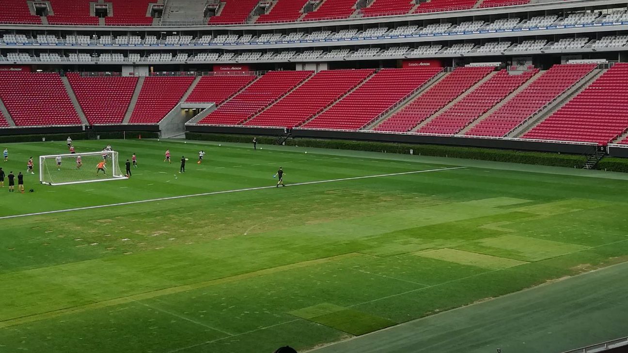 Juninho hace un llamado a la Federación sobre estado de las canchas