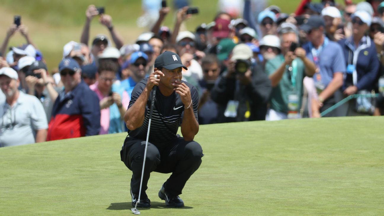 U.S. Open: Tiger would not make the cut.