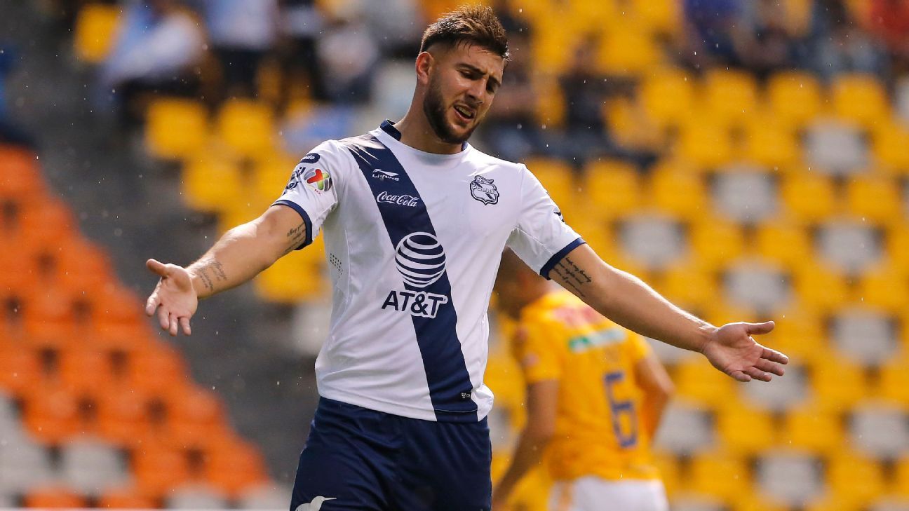 Representante de Cavallini: 