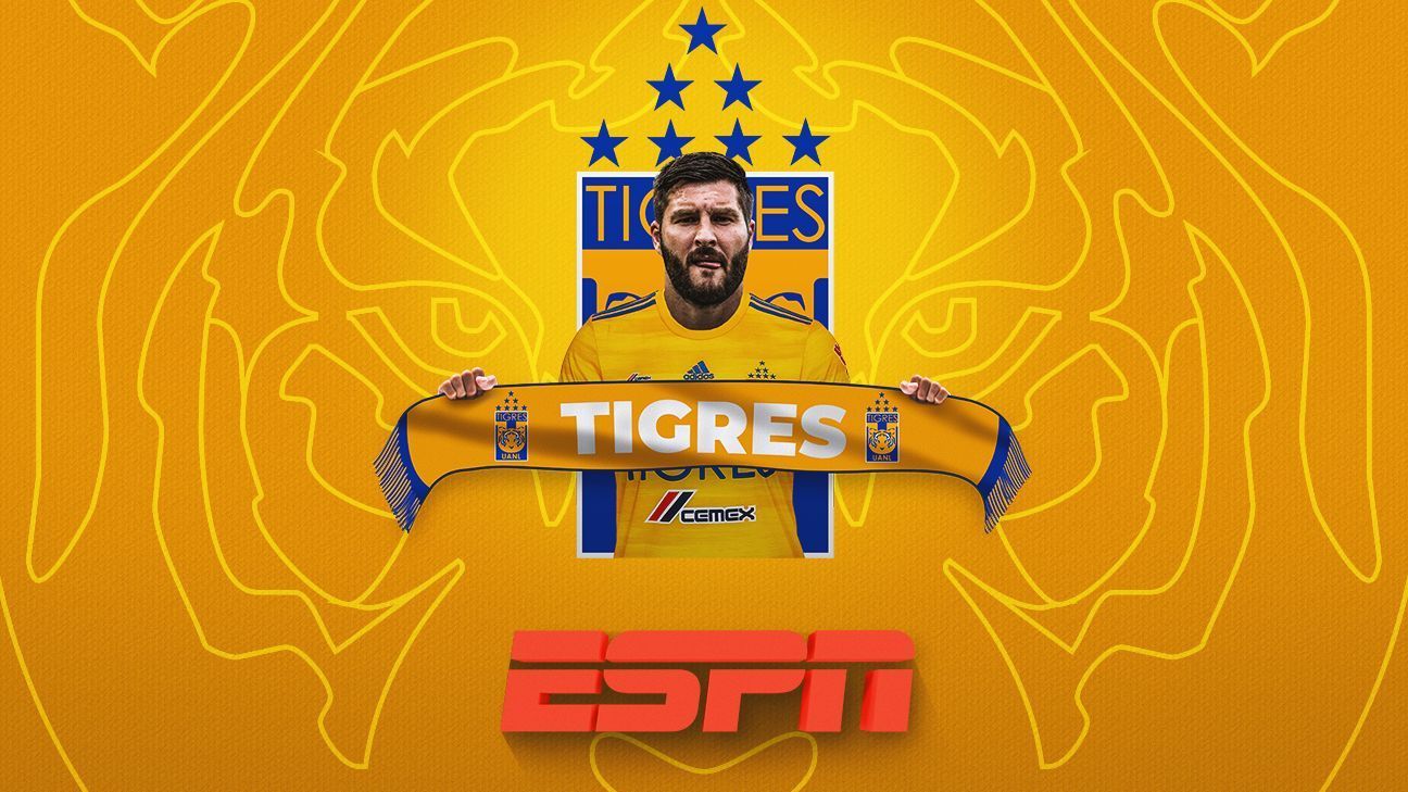 Radiografía de Tigres rumbo al Apertura 2019 de la Liga MX