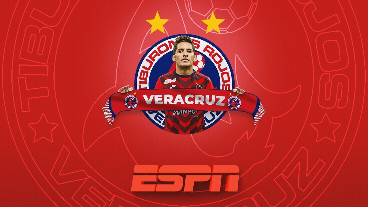 Veracruz's X-ray towards the Apertura 2019 of Liga MX.