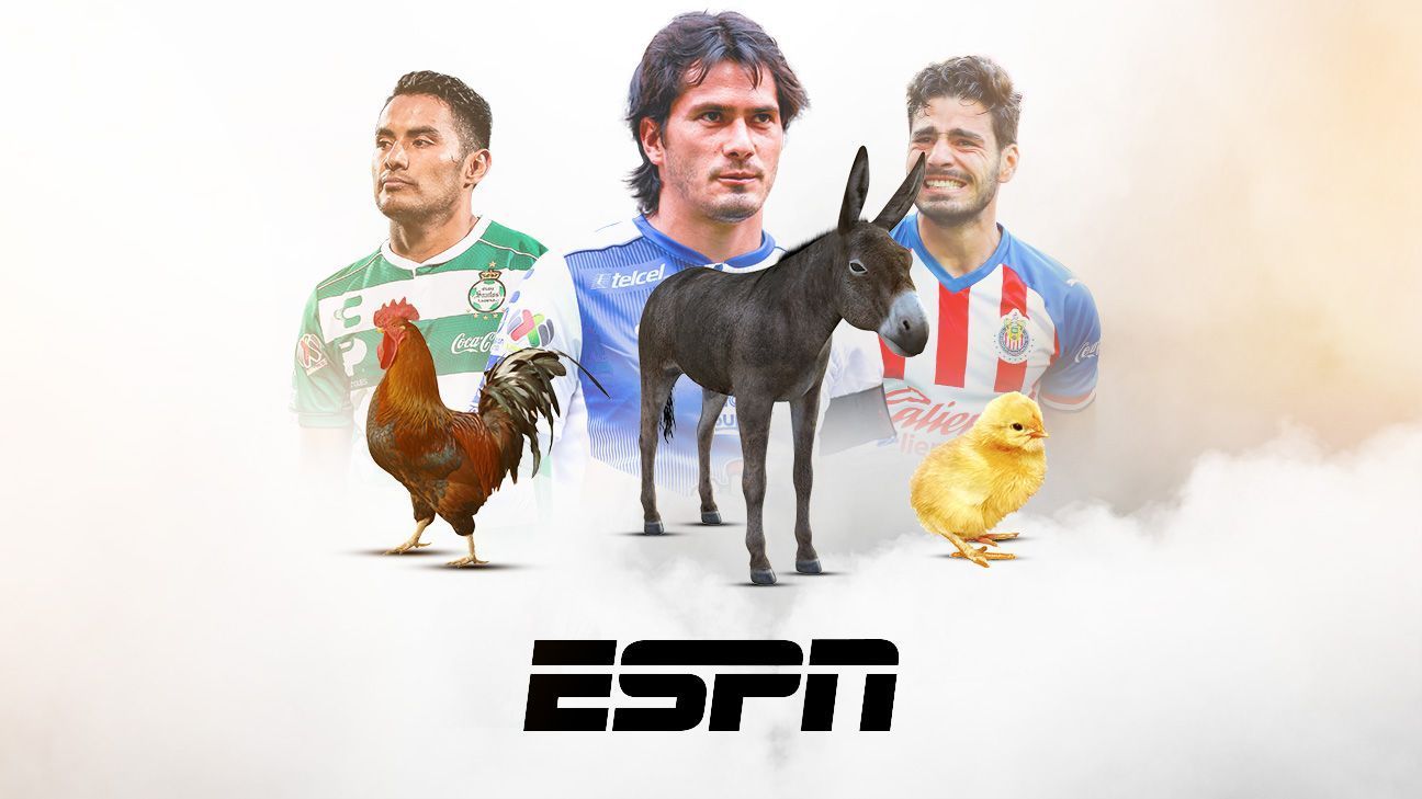 Día Mundial del Animal: apodos de la Liga BBVA MX