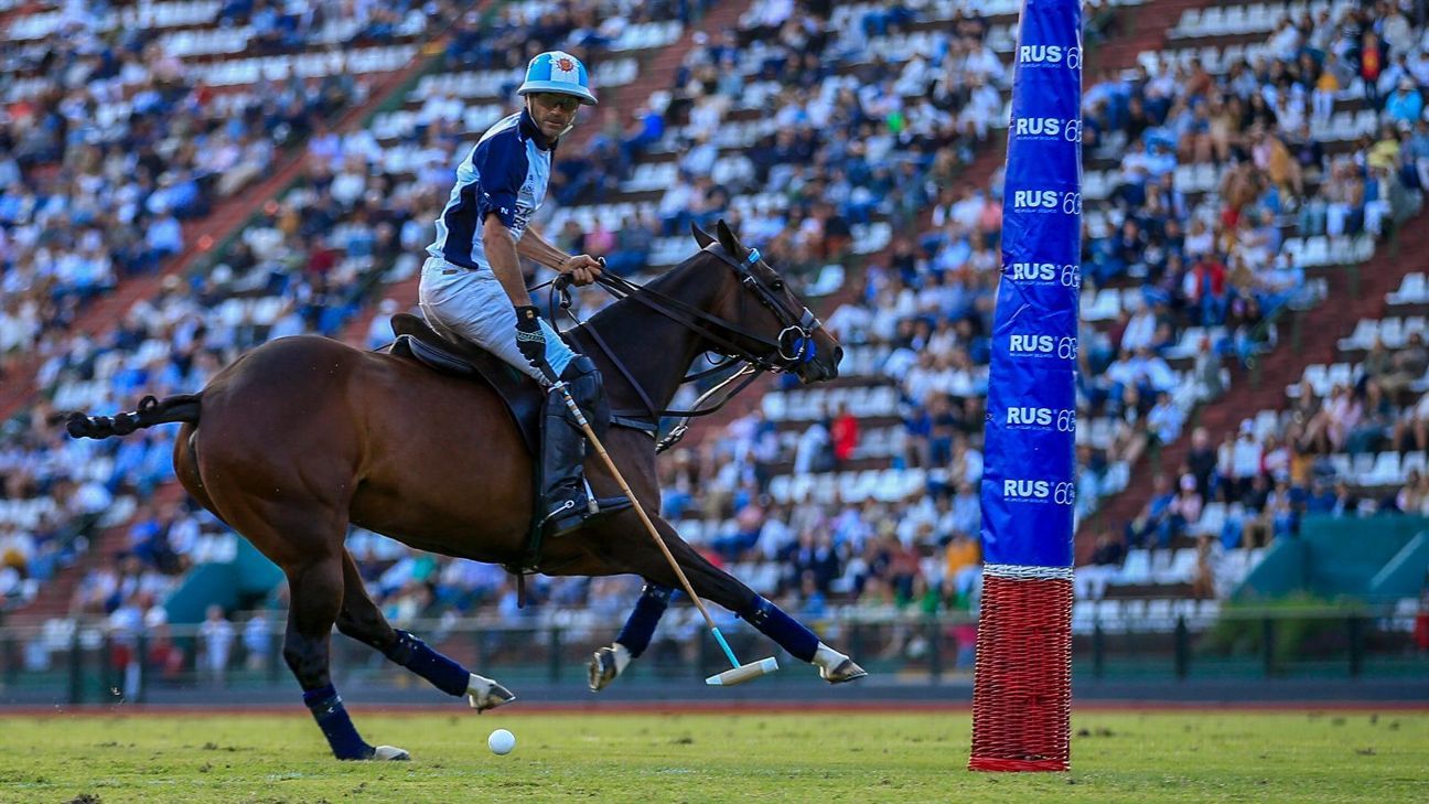 LA DOLFINA 16 - 13 ELLERSTINA