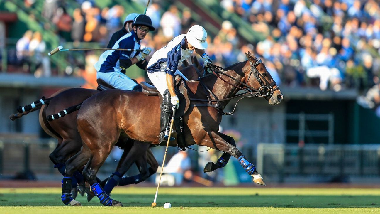 LA DOLFINA 16 - 13 ELLERSTINA