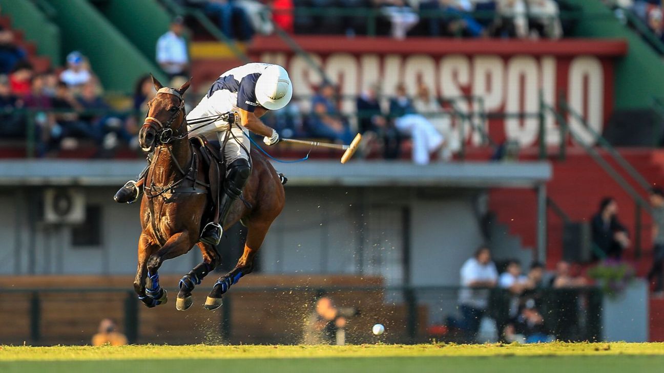 LA DOLFINA 16 - 13 ELLERSTINA