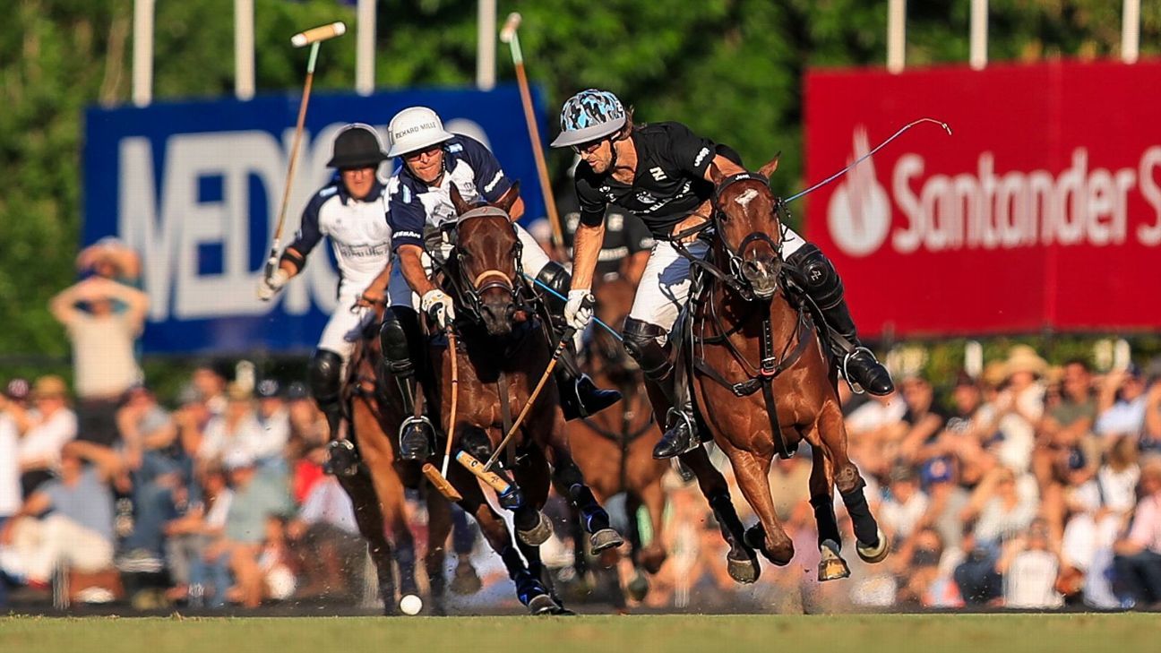 ELLERSTINA 12  11 LA DOLFINA